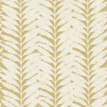 ACACIA CARAWAY.jpg