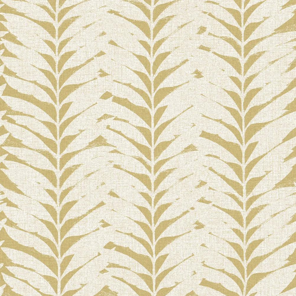Acacia Caraway thumbnail