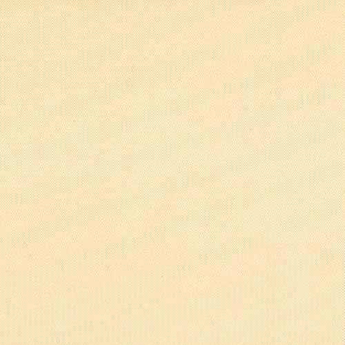 CARNIVAL IVORY