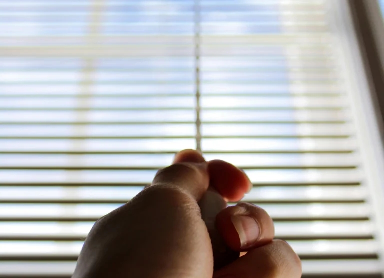 Roller Blinds for Large Windows Solutions and Styling Tips scaled