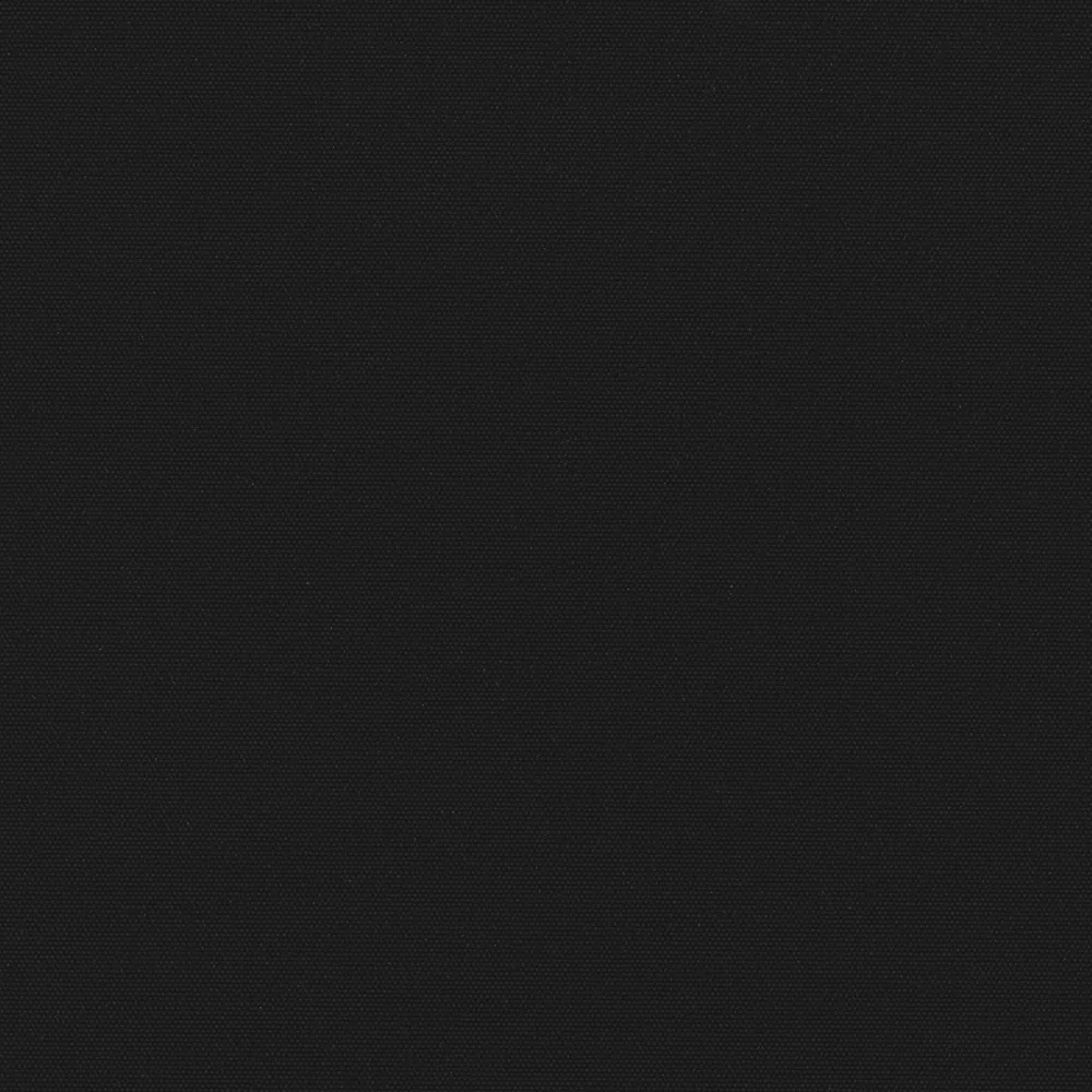 CARNIVAL ANTHRACITE