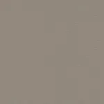 CARNIVAL BO TAUPE CARNIVAL BO TAUPE