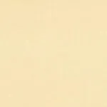 CARNIVAL IVORY CARNIVAL IVORY