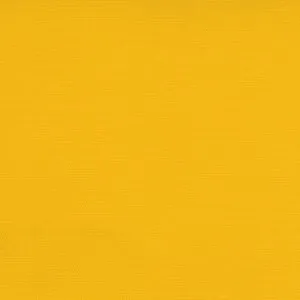 CARNIVAL OCHRE