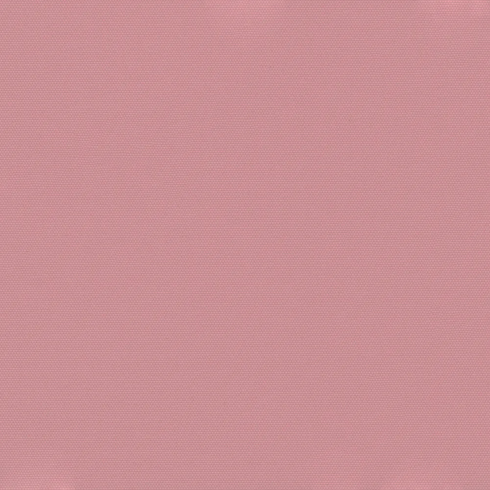 CARNIVAL PINK