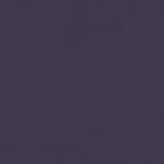 CARNIVAL PURPLE CARNIVAL PURPLE