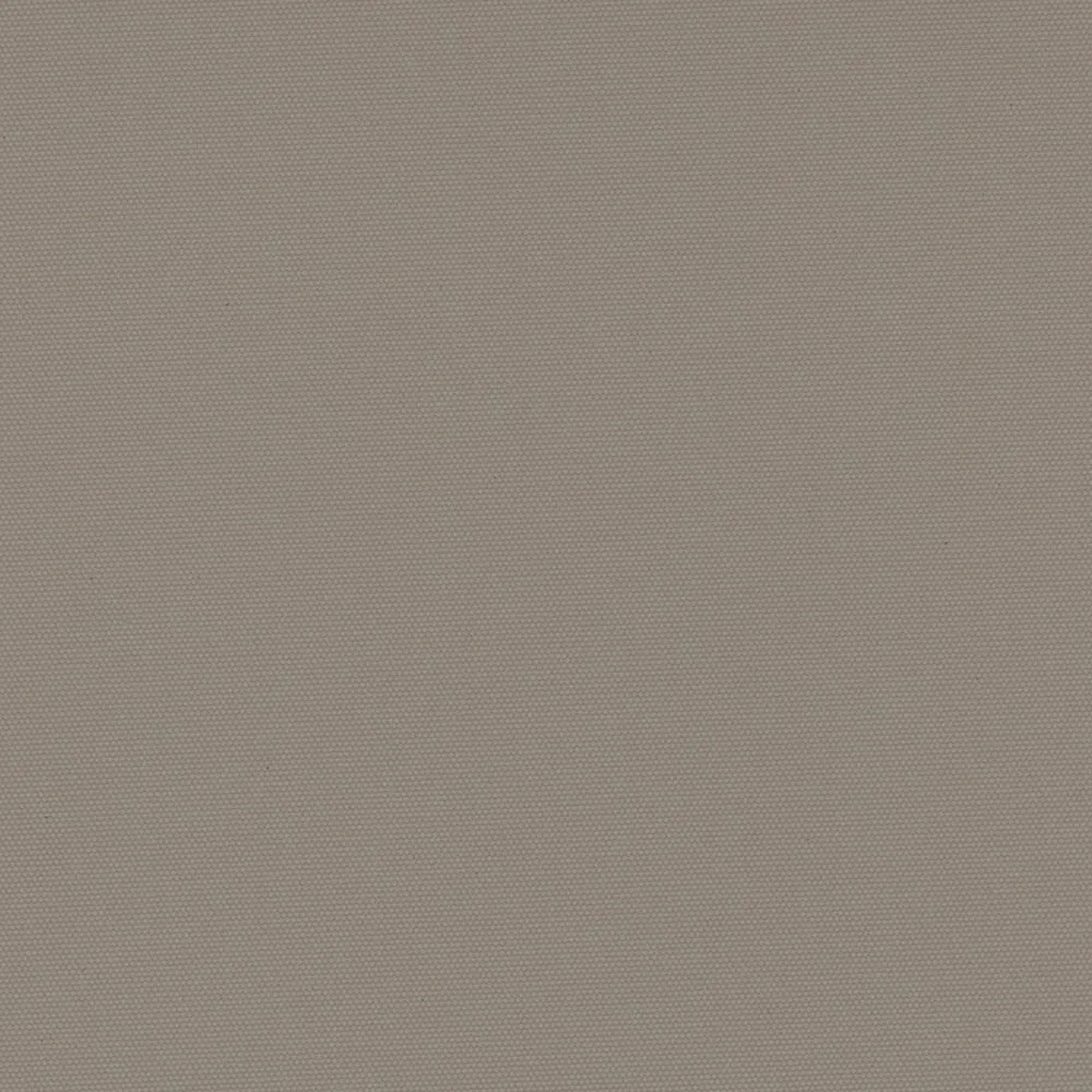 Carnival Taupe thumbnail