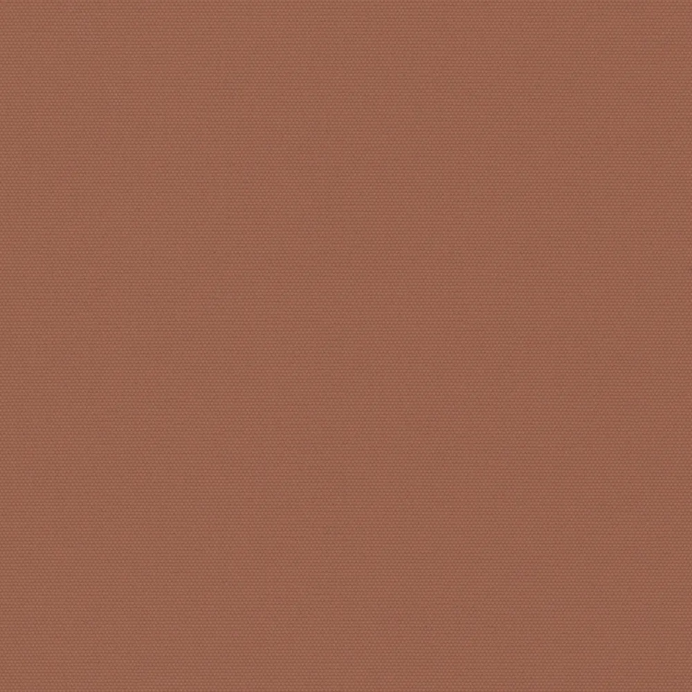 Carnival Terracotta thumbnail