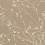 COLLINA CHAMPAGNE FIZZ 1
