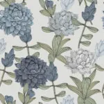 DAHLIA BO BLUE