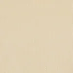 EX LITE CREAM 1 EX LITE CREAM 1