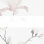FLOREALE ROSA FLOREALE ROSA
