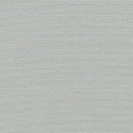 PERSPECTIVE 1 PERCENT GREY 1