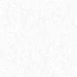 PETAL WHITE