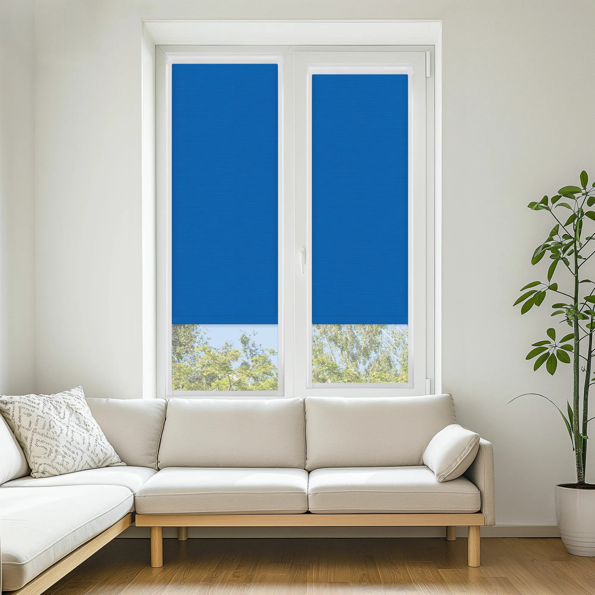 PF ROLL EX LITE BO HEALTHCARE BLUE