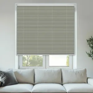 PLT FESTIVAL SPC LOW E LUNA