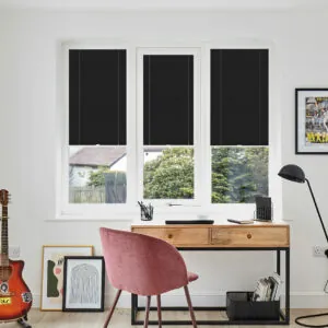 PLT PF FESTIVAL ESP RAVEN WINDOW
