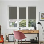 PLT PF FESTIVAL ESP SHADOW WINDOW