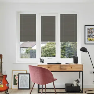 PLT PF FESTIVAL ESP SHADOW WINDOW