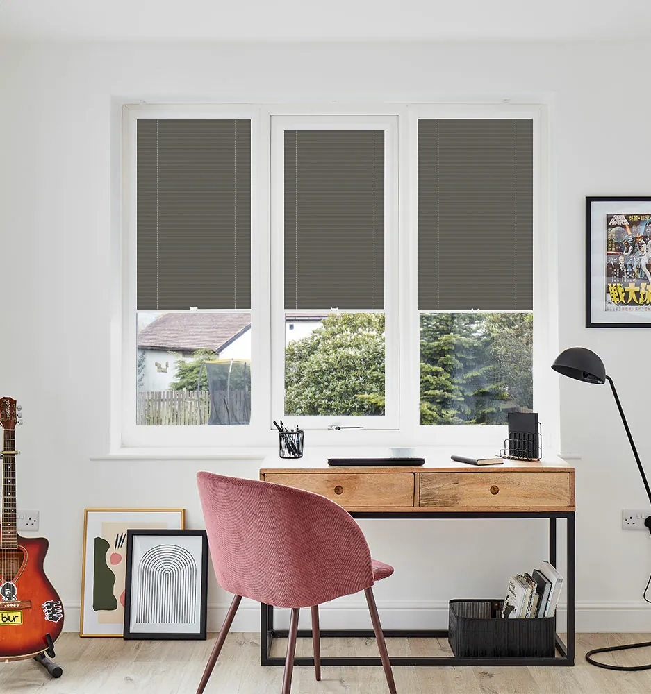 PLT PF FESTIVAL ESP SHADOW WINDOW
