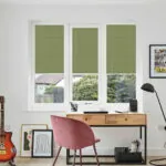 PLT PF FESTIVAL ESP WILLOW WINDOW