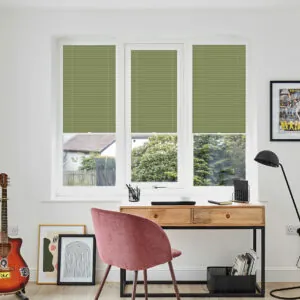 PLT PF FESTIVAL ESP WILLOW WINDOW