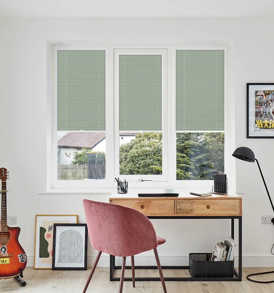 PLT PF FESTIVAL SR FERN WINDOW PLT PF FESTIVAL SR FERN WINDOW