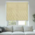 PLT VOILE CREAM 2