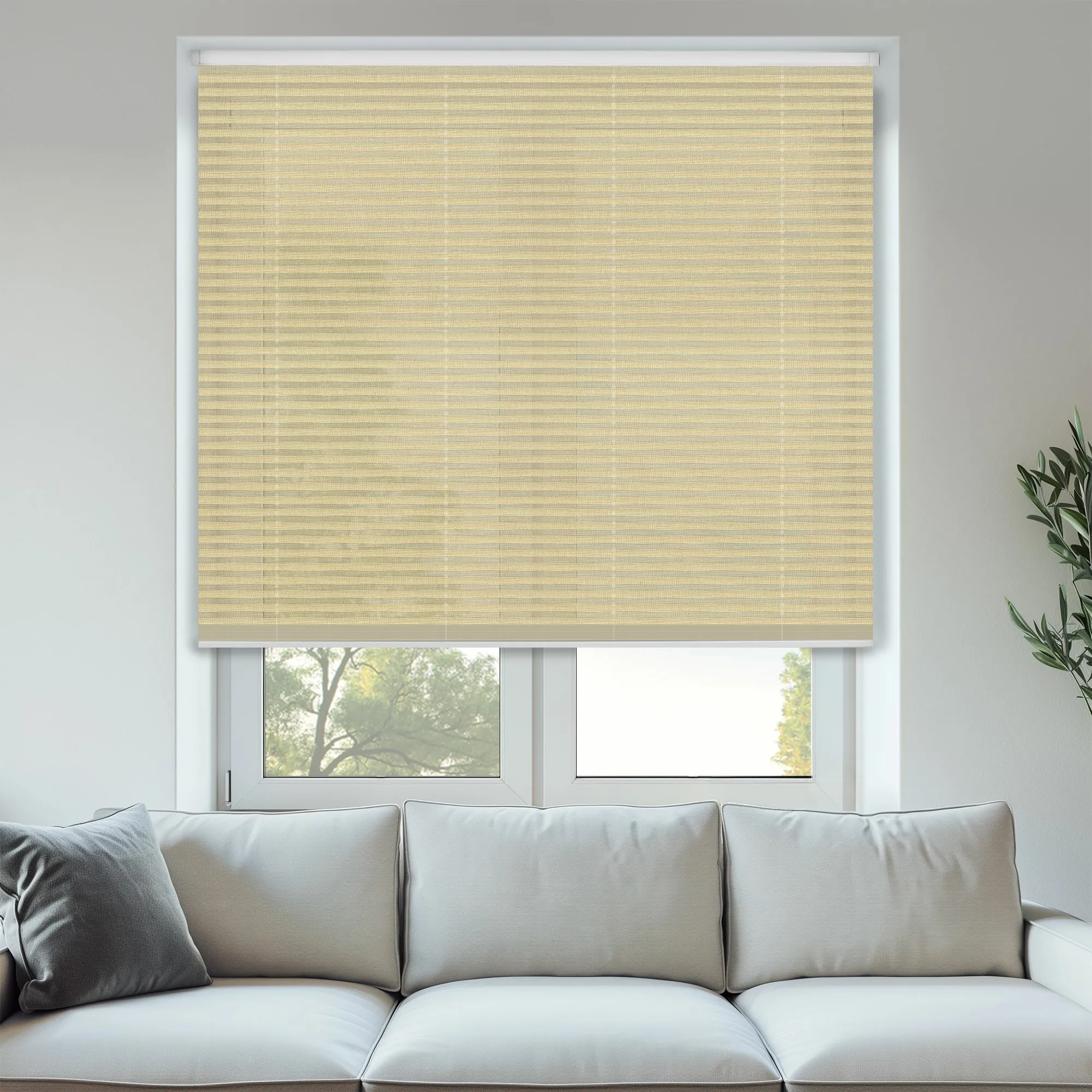 PLT VOILE CREAM 2