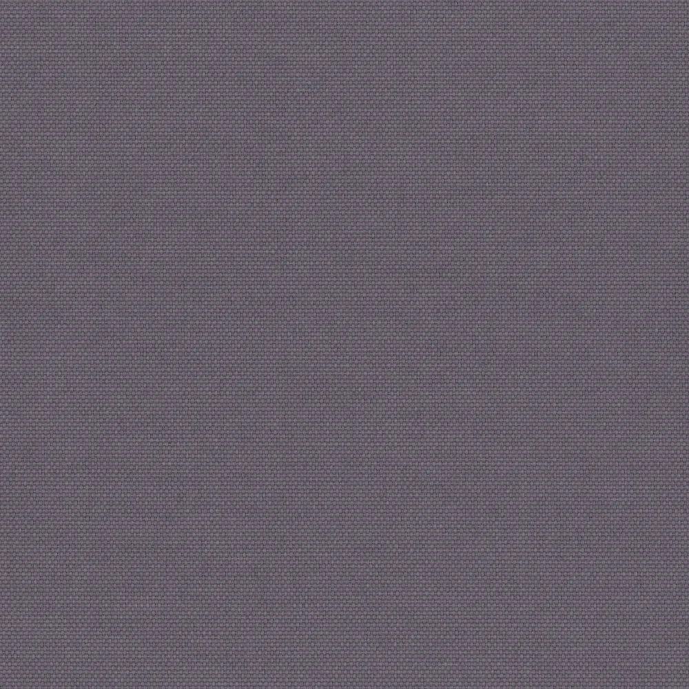 Pop Blackout Iris thumbnail