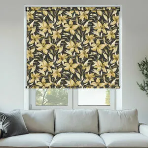 ROLL STARGAZER BO OCHRE