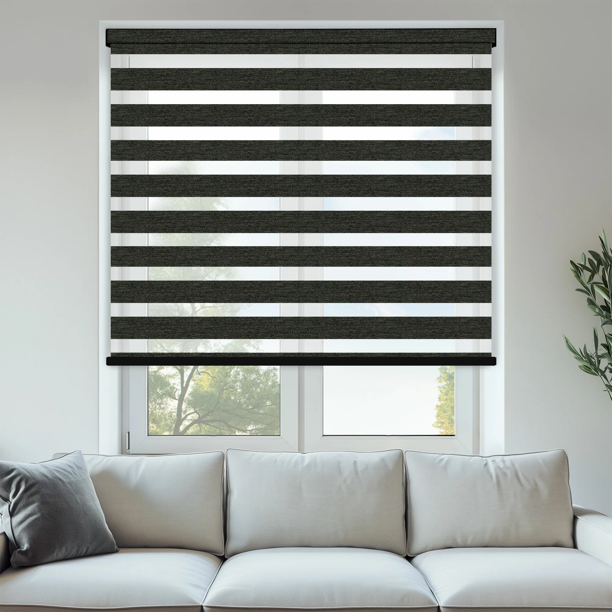 SETOSA CHARCOAL 1