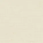 SHOT SILK IVORY 1 SHOT SILK IVORY 1