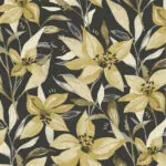 STARGAZER BO OCHRE