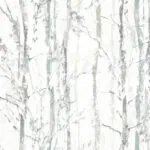 SWEDISH BIRCH SILVER SWEDISH BIRCH SILVER