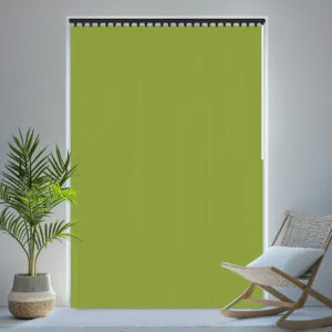 VERT CARNIVAL BO KIWI 2