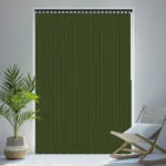 VERT POP BO FERN VERT POP BO FERN