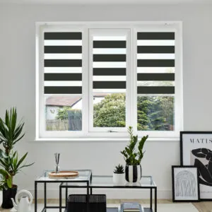 VIS PF NOLA RAVEN WINDOW