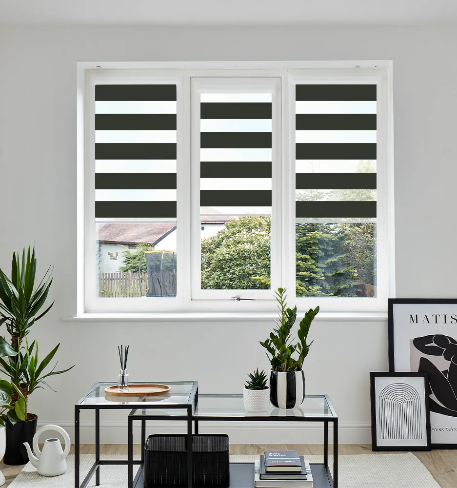 VIS PF NOLA RAVEN WINDOW VIS PF NOLA RAVEN WINDOW