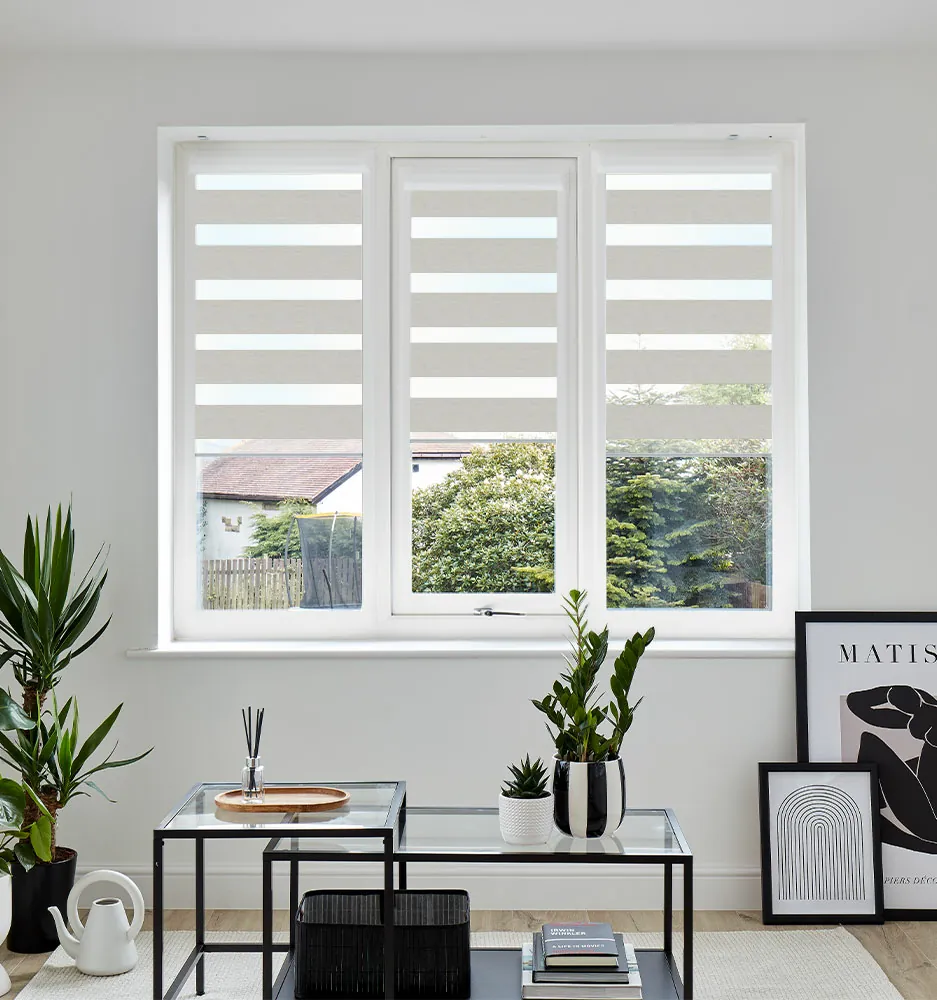 VIS PF RIMINI ELM WINDOW