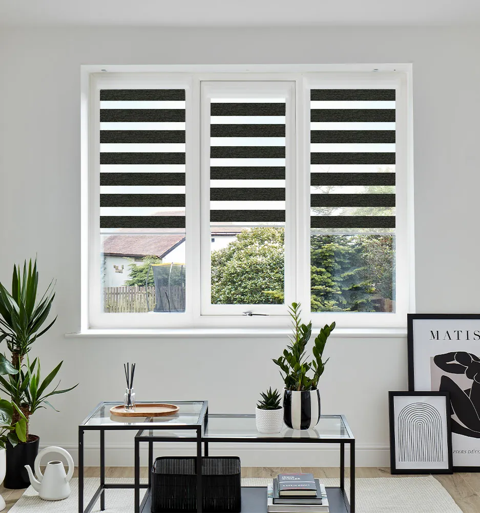VIS PF SETOSA CHARCOAL WINDOW VIS PF SETOSA CHARCOAL WINDOW