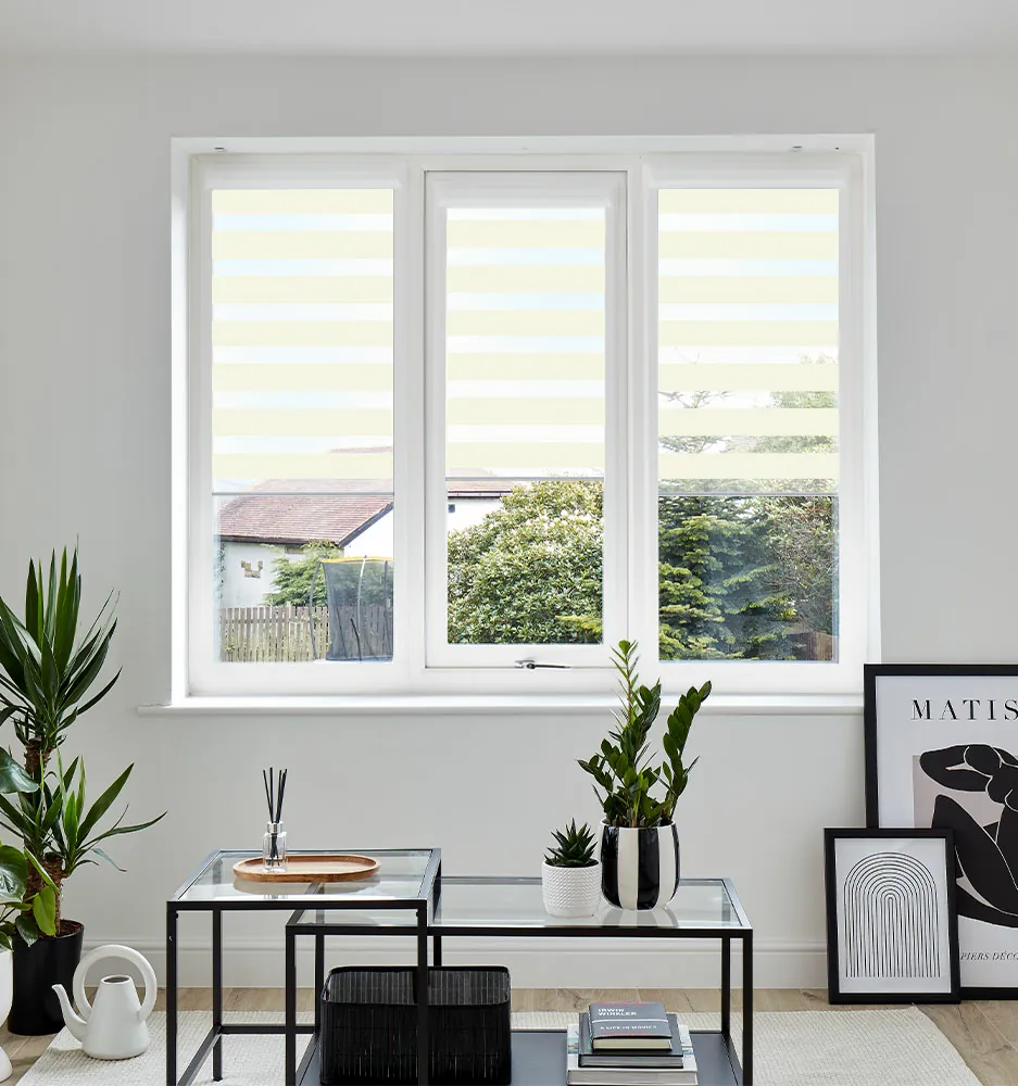 VIS PF SETOSA IVORY WINDOW VIS PF SETOSA IVORY WINDOW