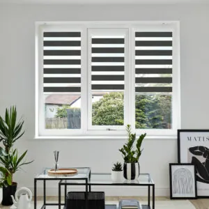 VIS PF TRENTO CHARCOAL WINDOW