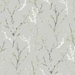 WILLOW BO BIRCH WHITE