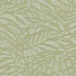 ZEN BO KIWI