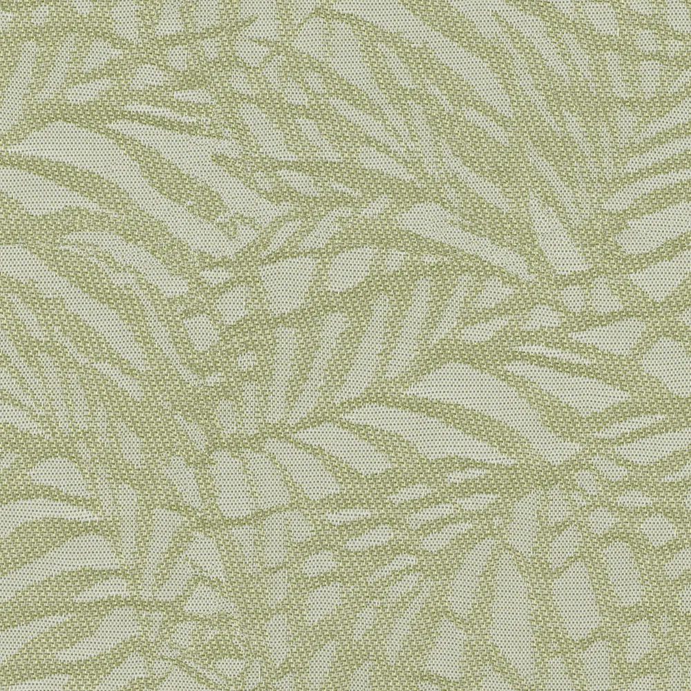 Zen Kiwi thumbnail